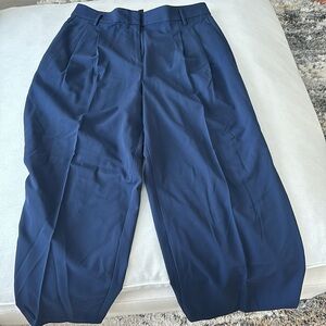 Never worn Ann Taylor wide leg pleated pants.  Women size 12.